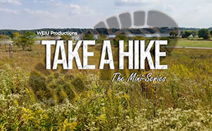 Take a Hike